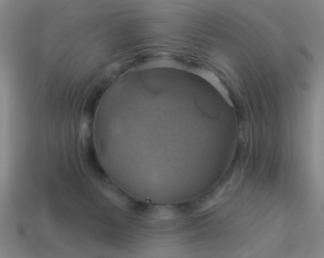 X0000114100127200910191650