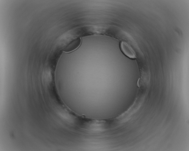 X0000114100128200910191650