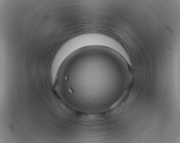 X0000114100129200910191650