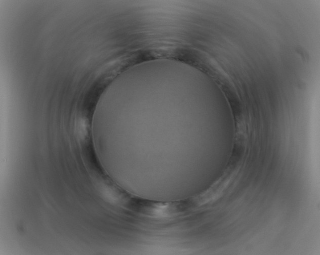 X0000114100130200910191650