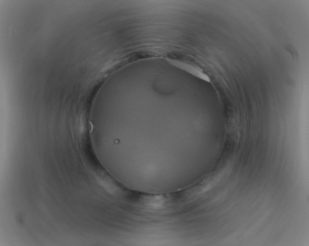 X0000114100131200910191650