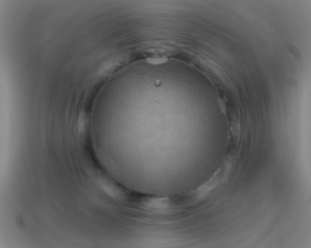 X0000114100132200910191650