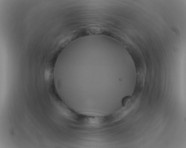 X0000114100134200910191650