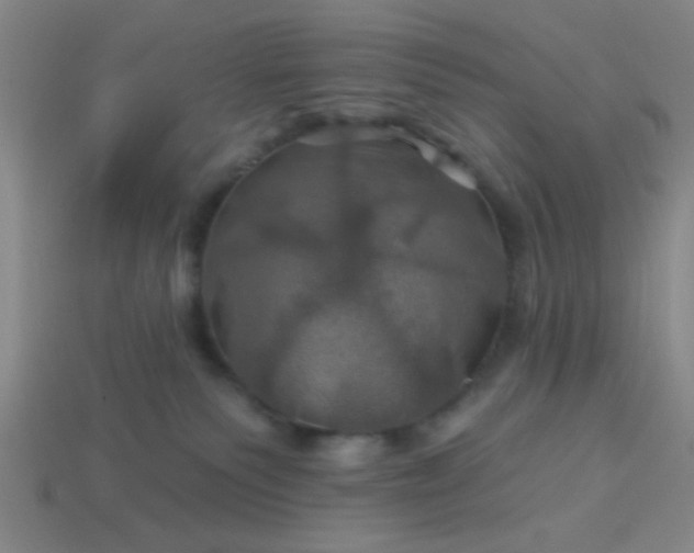 X0000114100135200910191650