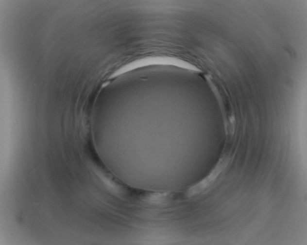 X0000114100136200910191649