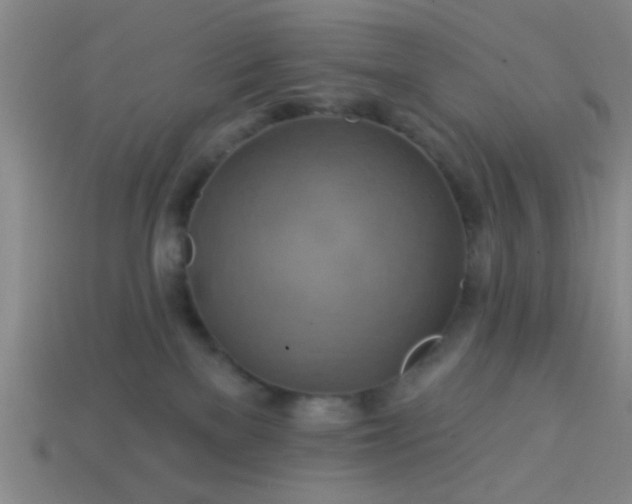 X0000114100137200910191649