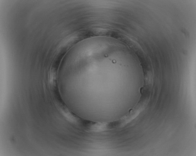 X0000114100138200910191649