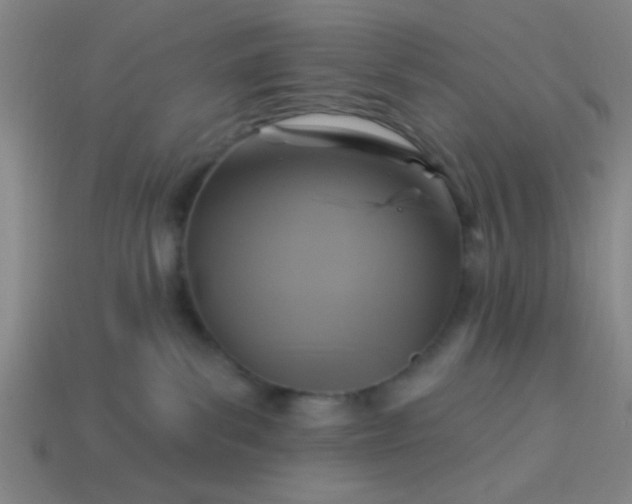 X0000114100139200910191649