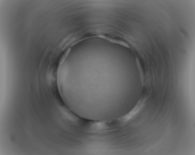 X0000114100140200910191649