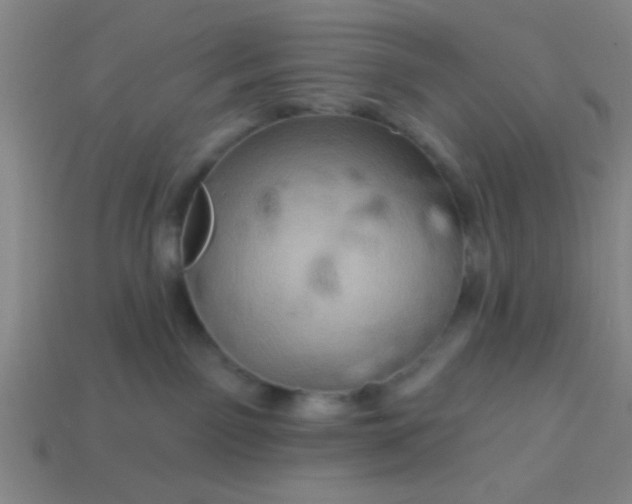 X0000114100141200910191649