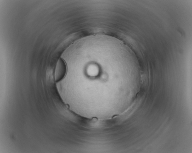 X0000114100142200910191649