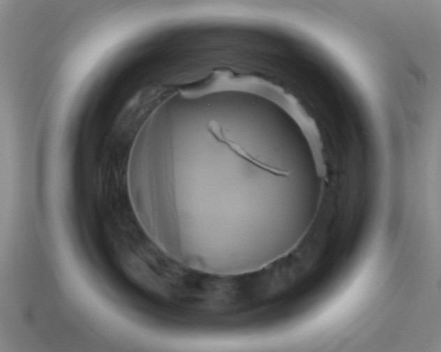 X0000114100143200910191649