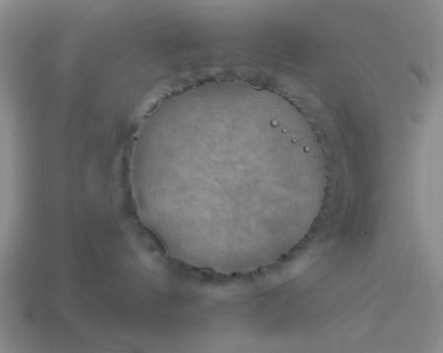 X0000114100144200910191649