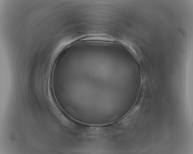 X0000114100145200910191649