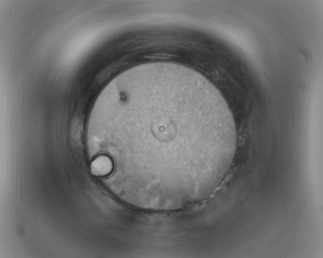 X0000114100146200910191649