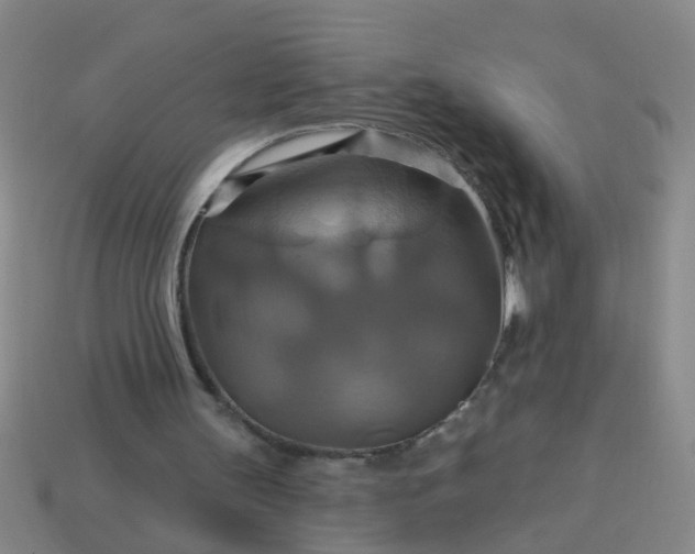 X0000114100147200910191649