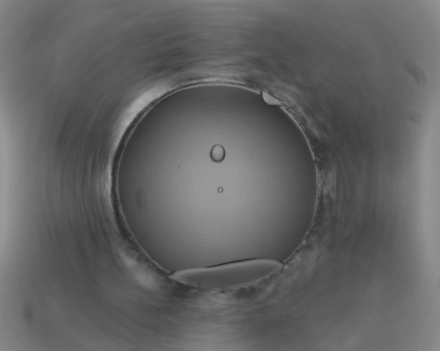 X0000114100148200910191649