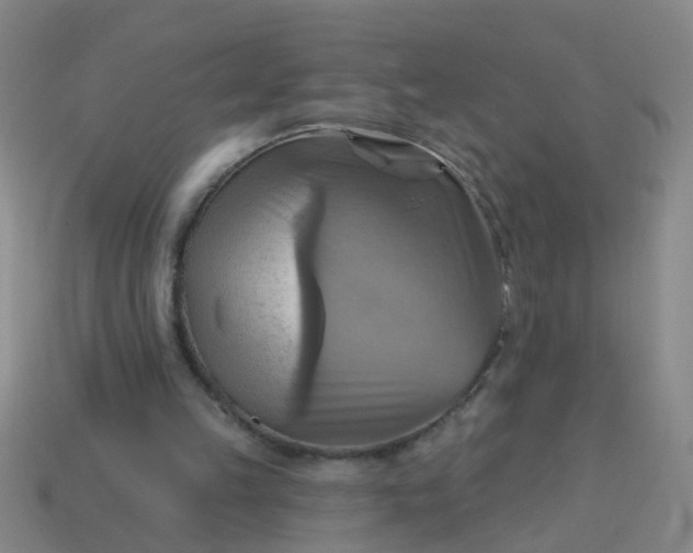 X0000114100149200910191649