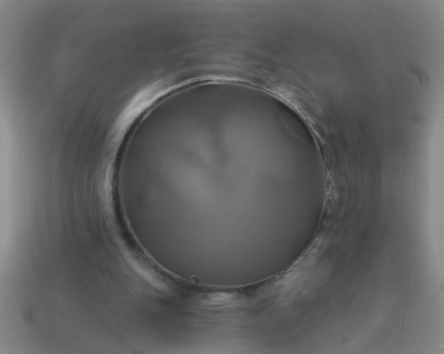 X0000114100151200910191649