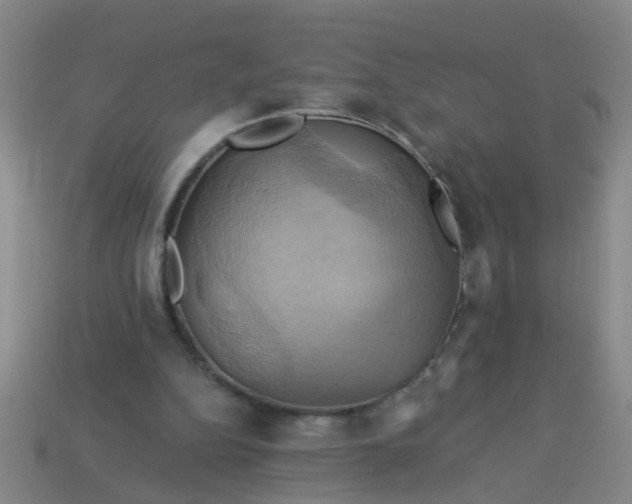 X0000114100152200910191649