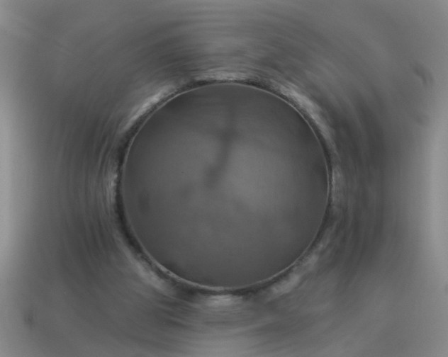 X0000114100153200910191649