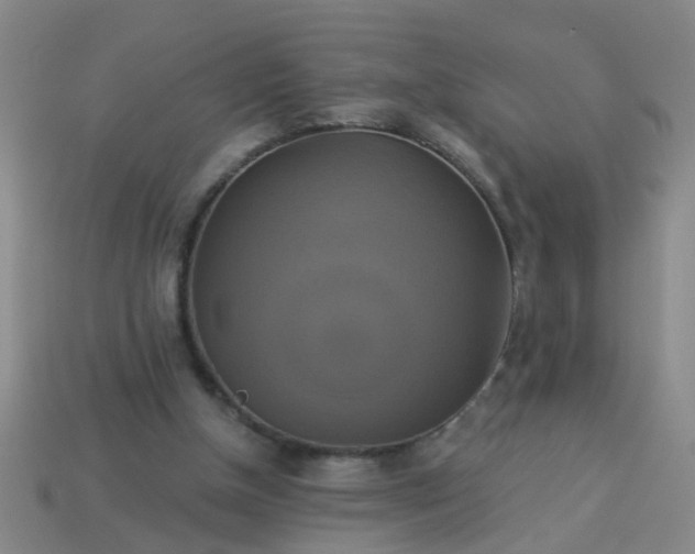 X0000114100154200910191649