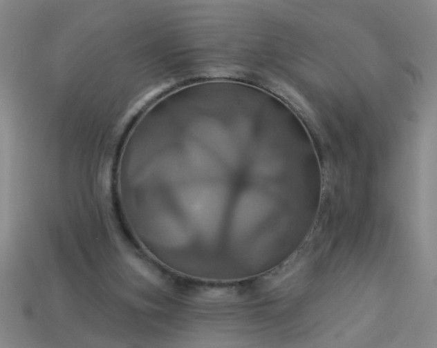 X0000114100155200910191649