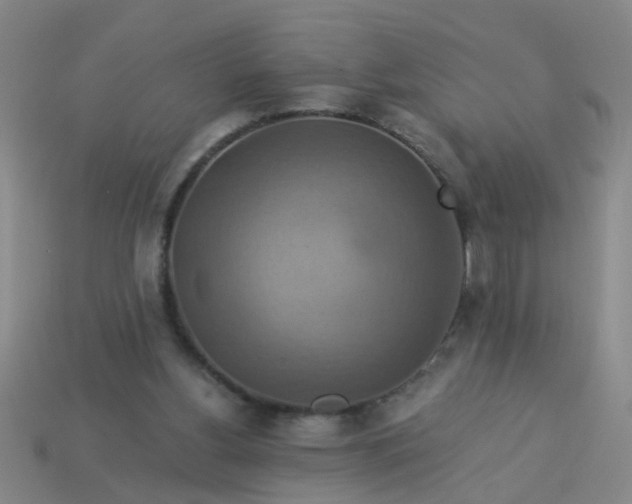 X0000114100156200910191649