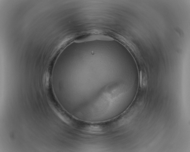 X0000114100157200910191649