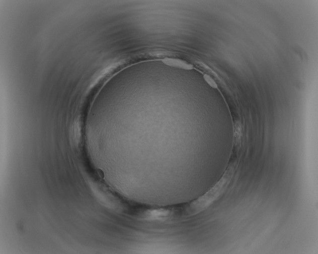 X0000114100158200910191649