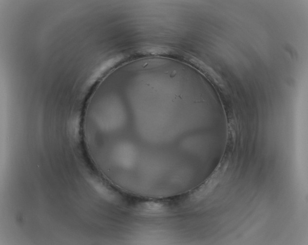 X0000114100159200910191649