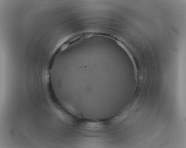 X0000114100160200910191649