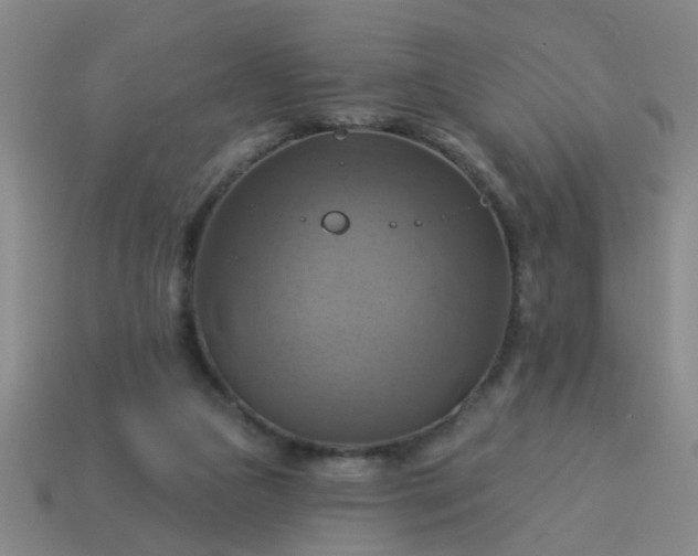 X0000114100161200910191649