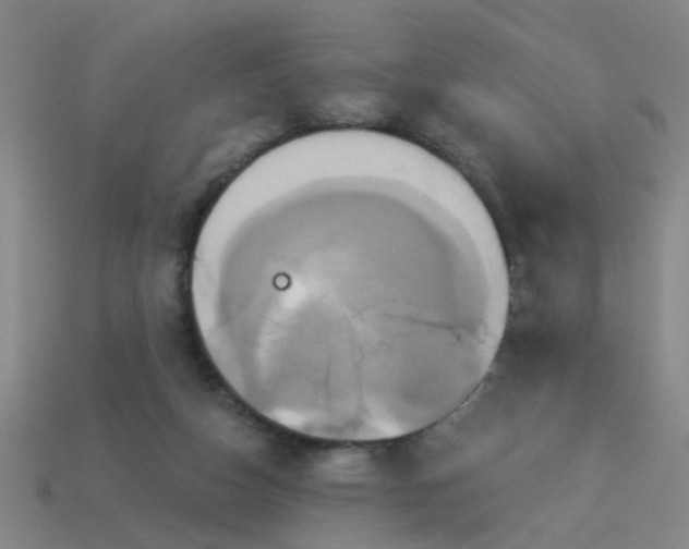 X0000114100162200910191649