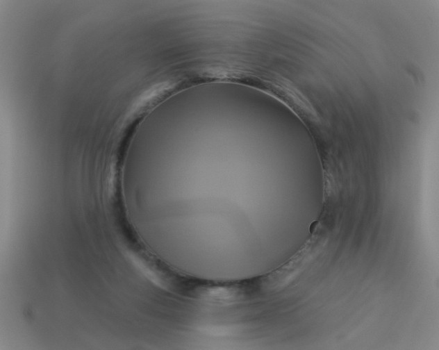 X0000114100163200910191649