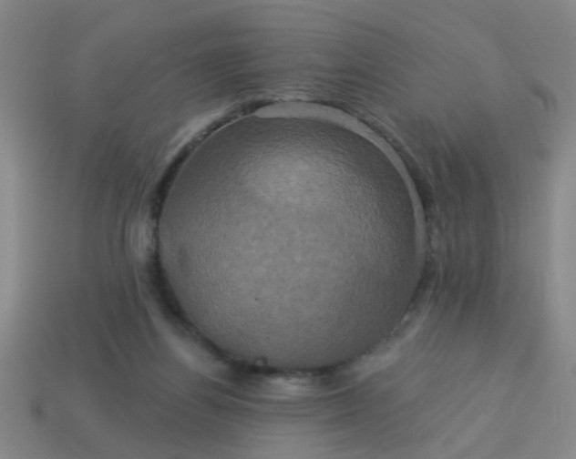 X0000114100164200910191649