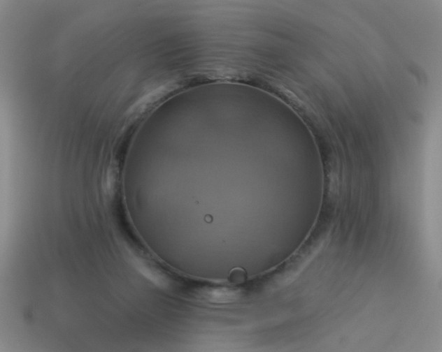 X0000114100165200910191649