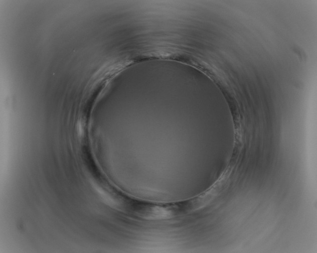 X0000114100166200910191649