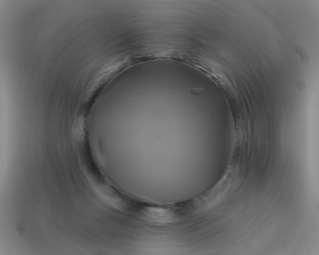 X0000114100167200910191649