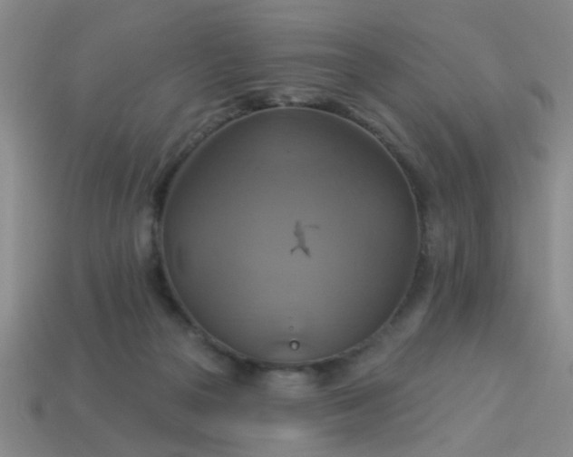 X0000114100169200910191649