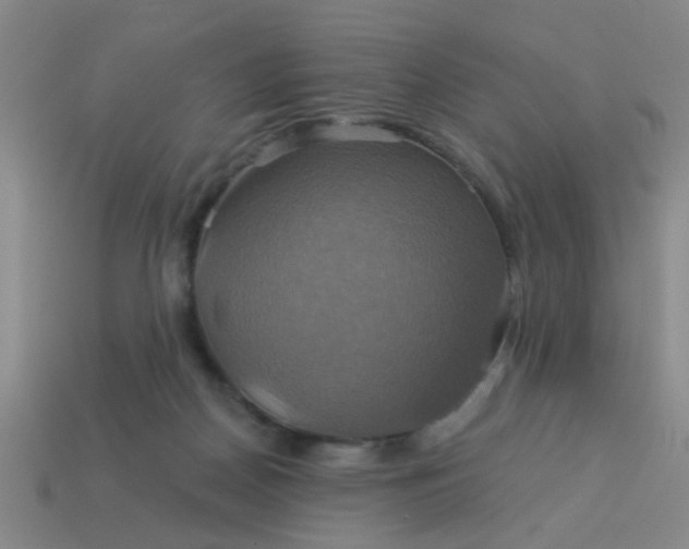 X0000114100170200910191649