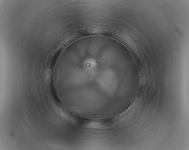 X0000114100171200910191649