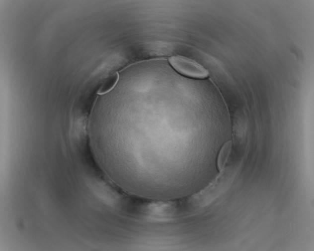 X0000114100172200910191649