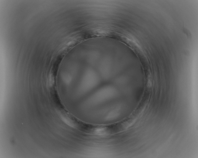 X0000114100173200910191649