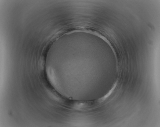 X0000114100174200910191649