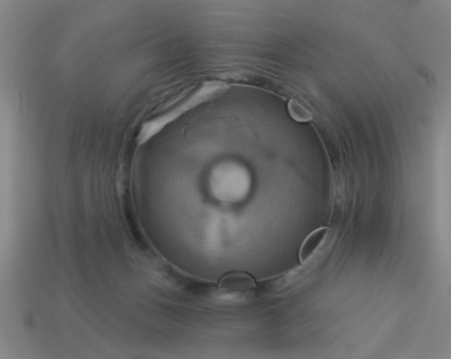 X0000114100175200910191649