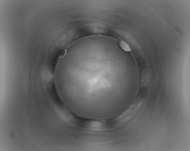 X0000114100176200910191649