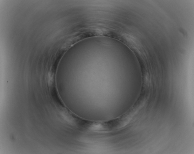 X0000114100177200910191649