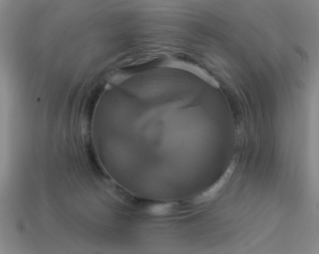 X0000114100178200910191649