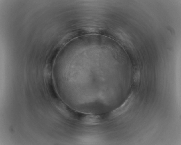 X0000114100179200910191649